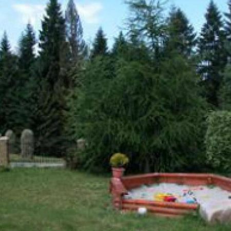 Willa Cetynka Zakopane Esterno foto